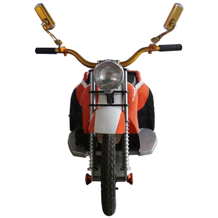 Swing Motobycle FLSM-A10001